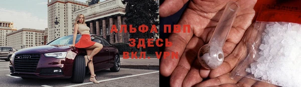 PSILOCYBIN Армянск