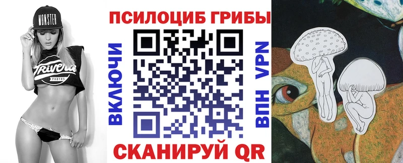 Псилоцибиновые грибы ЛСД  магазин  наркотиков  Саки 